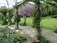 West Dean Garden