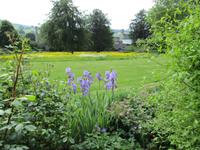West Dean Garden