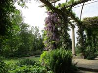 West Dean Garden