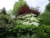 West Dean Garden