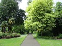West Dean Garden