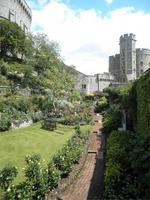Windsor