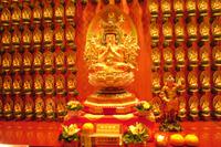 29.01.2016: Singapur - Chinatown