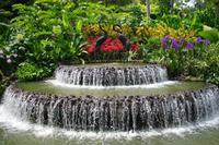 29.01.2016: Singapur - Orchideengarten