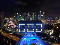 29.01.2016: Singapur - Fahrt mit dem Singapore Flyer (
