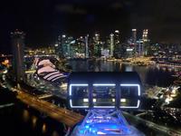 29.01.2016: Singapur - Fahrt mit dem Singapore Flyer (