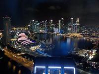 29.01.2016: Singapur - Fahrt mit dem Singapore Flyer (