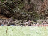 01.02.2016: Kuala Lumpur - Batu Caves