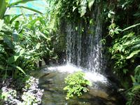 01.02.2016: Kuala Lumpur - Schmetterling-Park