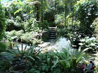 01.02.2016: Kuala Lumpur - Schmetterling-Park