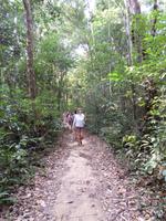 04.02.2016: Insel Phú Quoc - Spaziergang durch den Dschungel