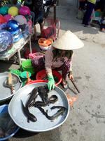 04.02.2016: Insel Phú Quoc - Tagesmarkt in Duong Dong