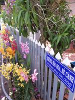 04.02.2016: Insel Phú Quoc - Weingarten