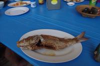 Inselausflug Koh Larn