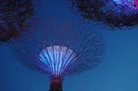 0217 Südostasien Auswahl 2017