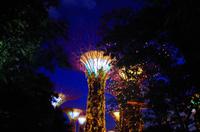 0221 Südostasien Auswahl 2017