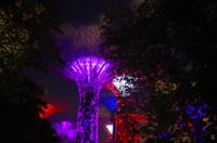 0227 Südostasien Auswahl 2017