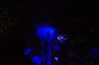 0228 Südostasien Auswahl 2017