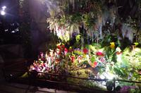 0233 Südostasien Auswahl 2017