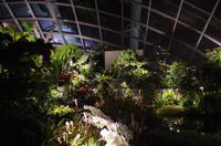 0234 Südostasien Auswahl 2017