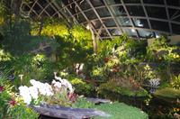 0235 Südostasien Auswahl 2017