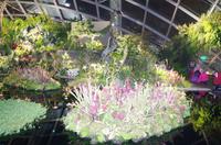 0236 Südostasien Auswahl 2017