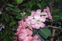 0237 Südostasien Auswahl 2017