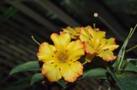 0240 Südostasien Auswahl 2017