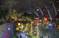 0243 Südostasien Auswahl 2017