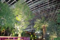 0244 Südostasien Auswahl 2017