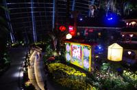 0246 Südostasien Auswahl 2017