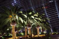 0247 Südostasien Auswahl 2017