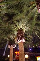 0249 Südostasien Auswahl 2017