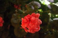 0250 Südostasien Auswahl 2017