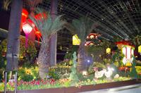 0251 Südostasien Auswahl 2017