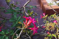 0308 Südostasien Auswahl 2017