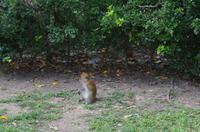 0310 Südostasien Auswahl 2017