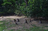 0311 Südostasien Auswahl 2017