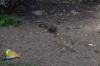 0312 Südostasien Auswahl 2017