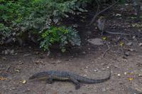 0313 Südostasien Auswahl 2017