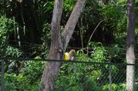 0314 Südostasien Auswahl 2017