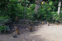 0315 Südostasien Auswahl 2017