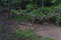 0316 Südostasien Auswahl 2017