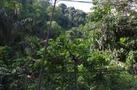 0317 Südostasien Auswahl 2017