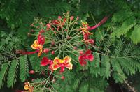 0319 Südostasien Auswahl 2017