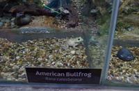 0323 Südostasien Auswahl 2017