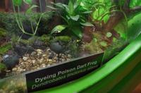 0324 Südostasien Auswahl 2017