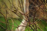 0326 Südostasien Auswahl 2017