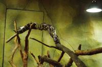 0327 Südostasien Auswahl 2017