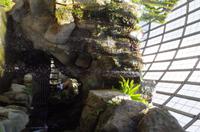 0329 Südostasien Auswahl 2017